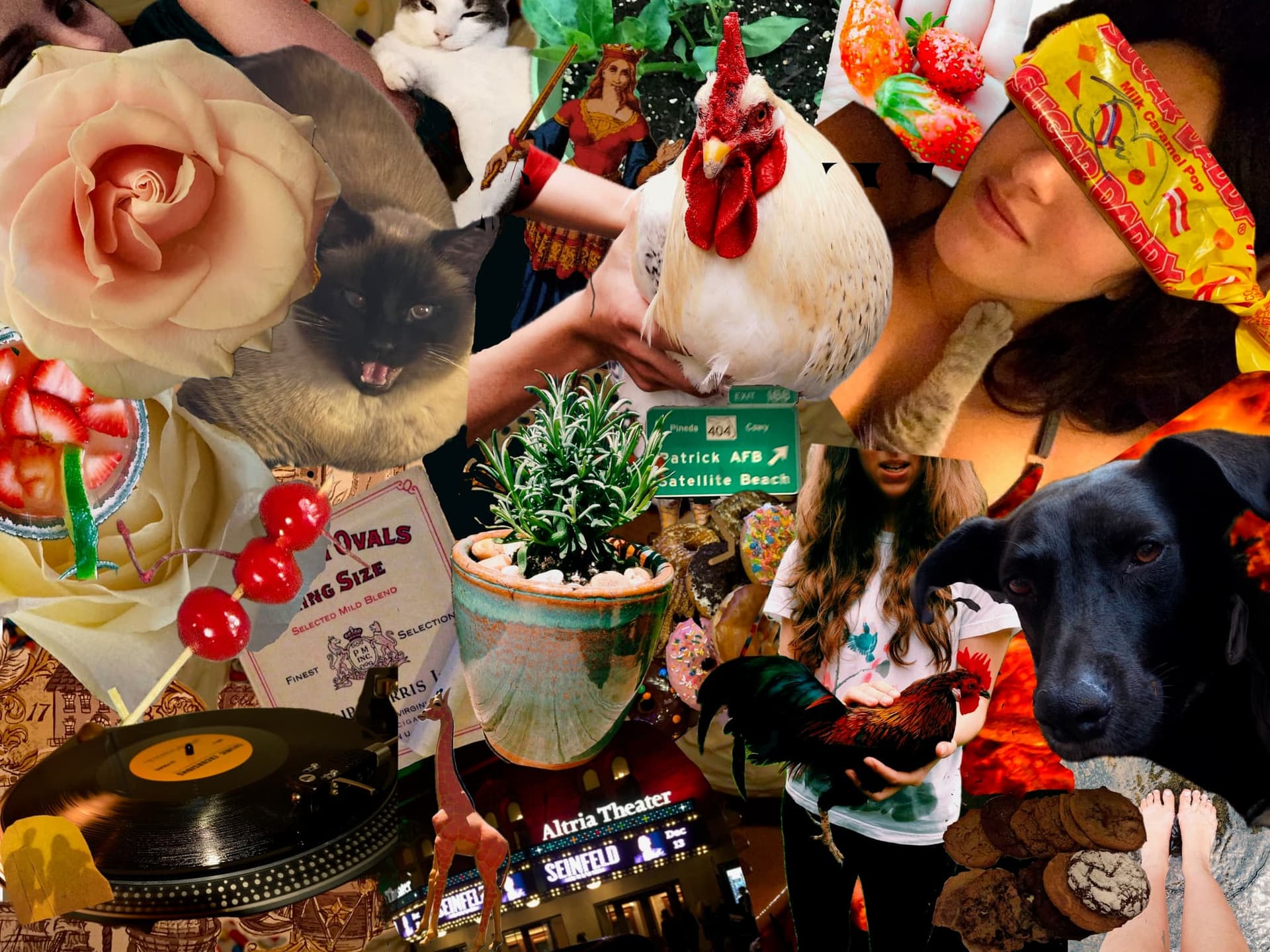 Personal collage of flowers, animals, records, food, and meaningful mementos.